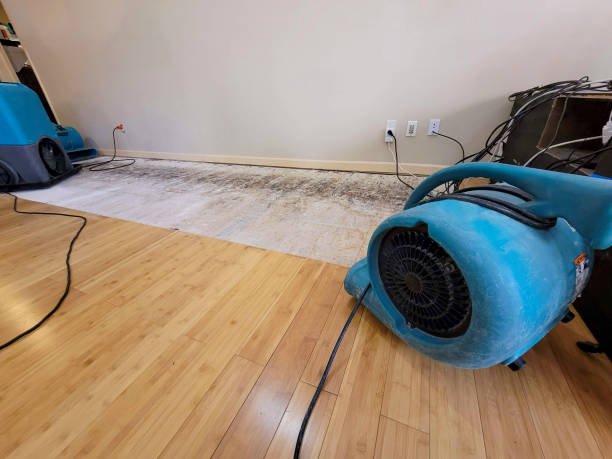 Professional Water Extraction technician working in Savannah, MO